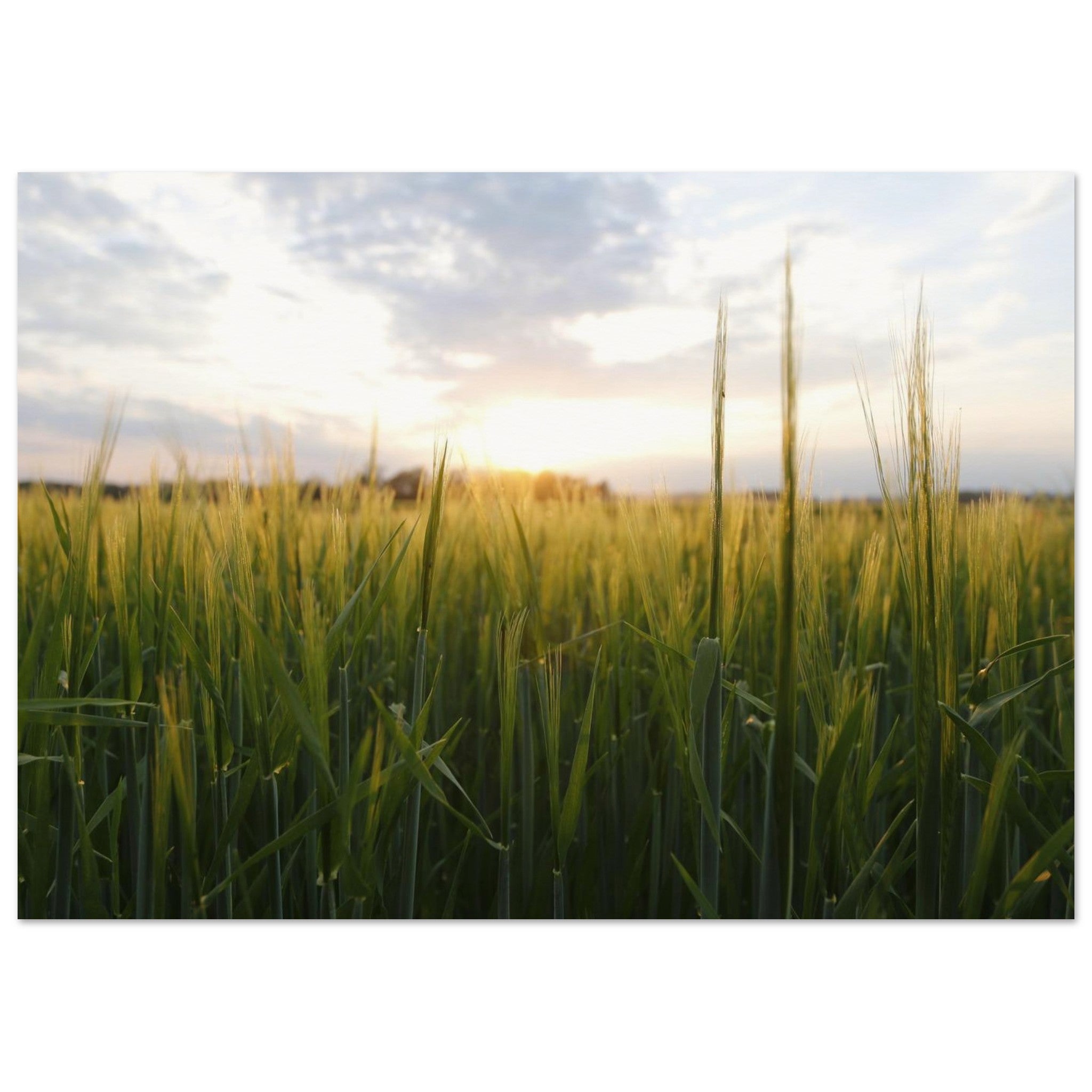 f5a53552-b99e-4583-91ac-868edb52378d