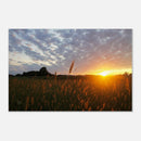 f718098d-8d89-4664-afd6-d13c58394a0c