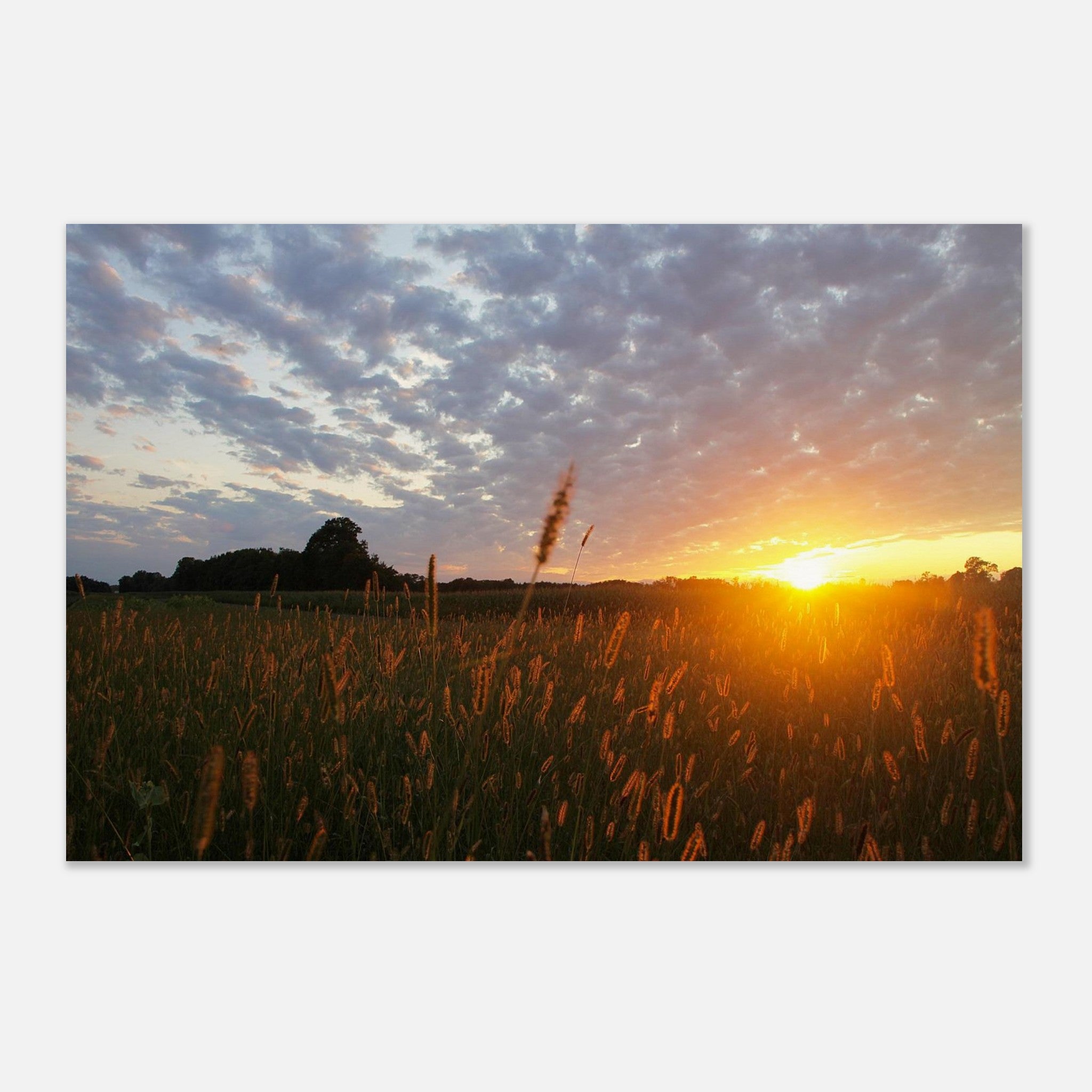 f718098d-8d89-4664-afd6-d13c58394a0c