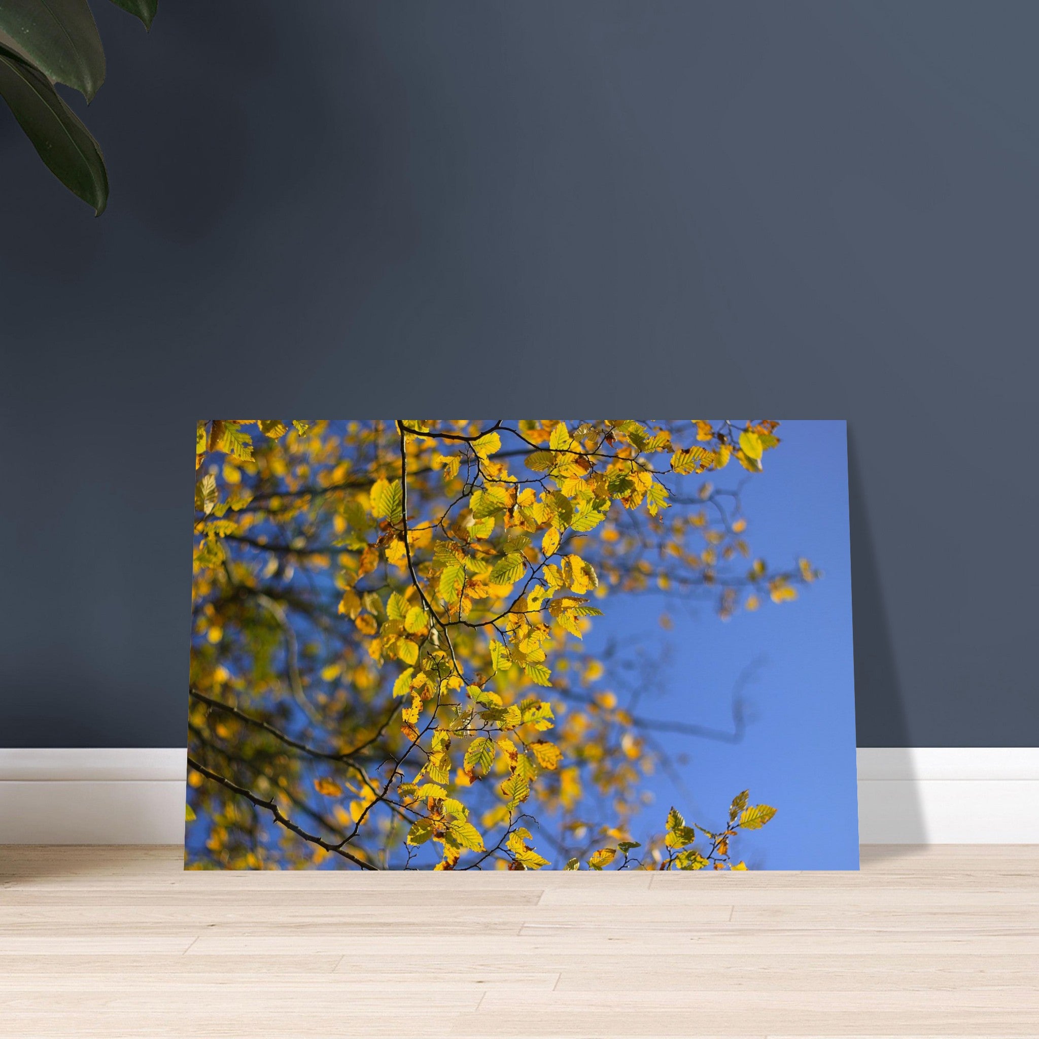 f8897abb-87b5-40b8-b053-33fa7f3c3bf2