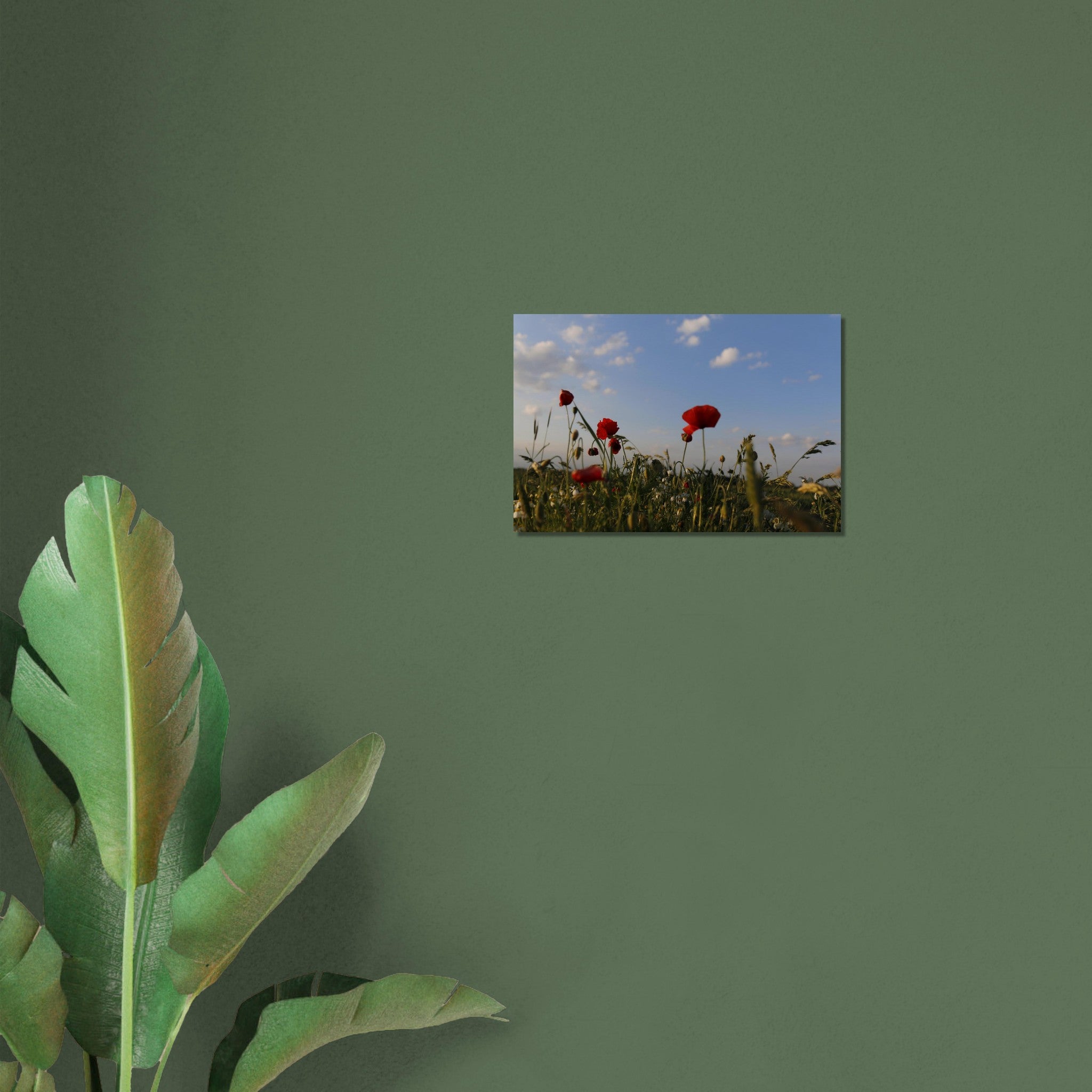 fc0e69c8-1925-4fd0-9c58-e9ef7c15d799