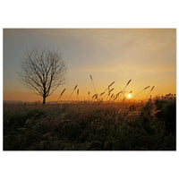 fd0c1b6a-1a14-4798-820f-25a8373308d4