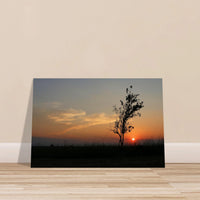 fd7881aa-3231-48a6-86c4-0de1d71cdb34