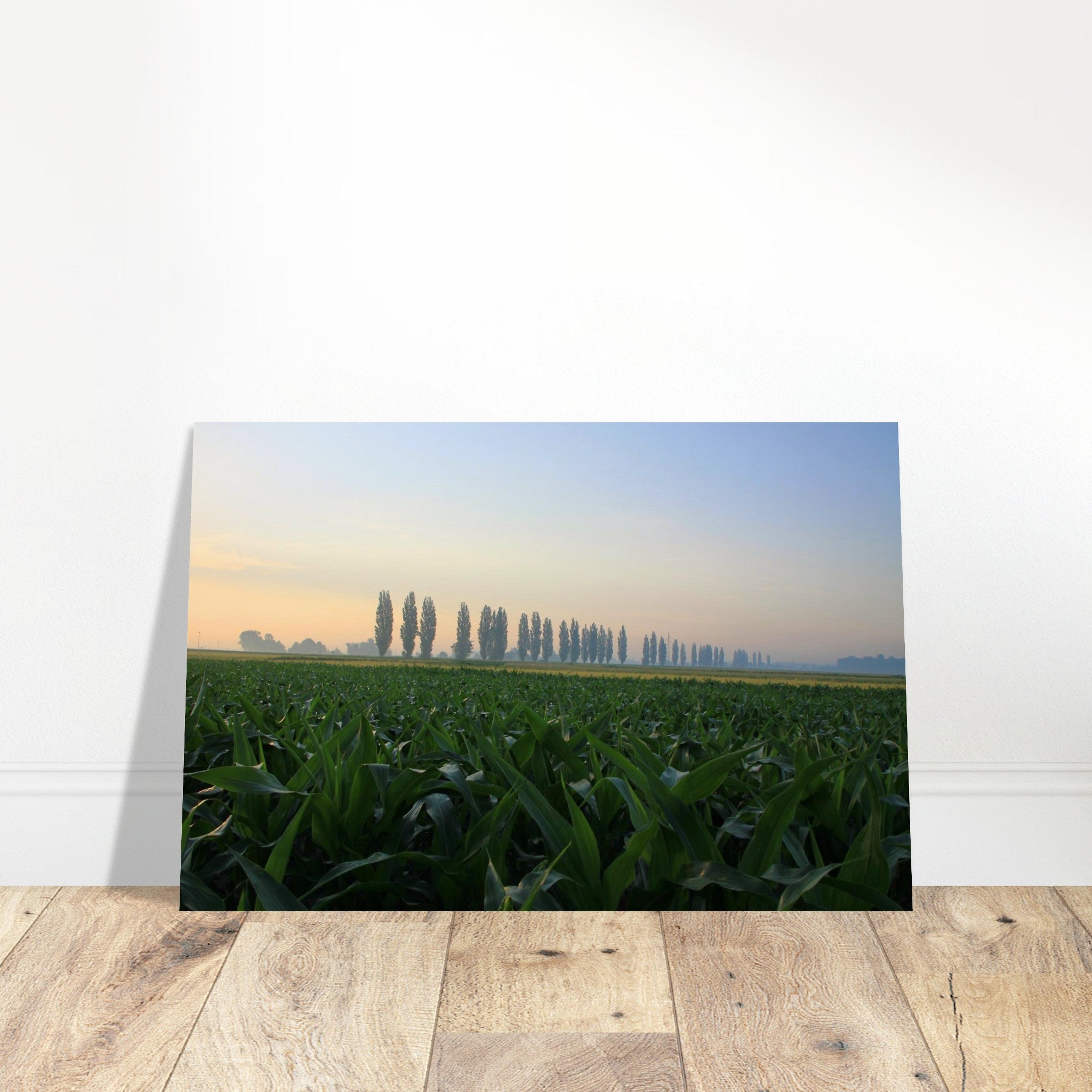 fdd119ce-d0ce-4a6c-9d25-06d6497f82c4